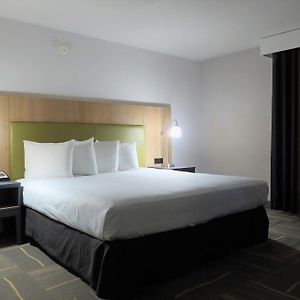 Queen Room Disability Access